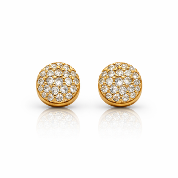 9223862 | 925 Silver Gold Earring