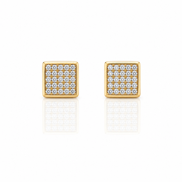 929752 | Silver Gold Earrings