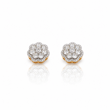 9219682 | Silver Gold Earrings