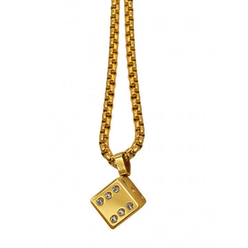 Stainless Steel Chain and Charm D91732