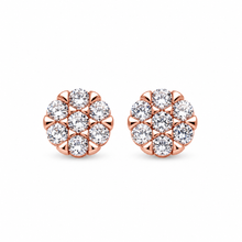 9211345 | 925 Silver Rose Gold Earrings