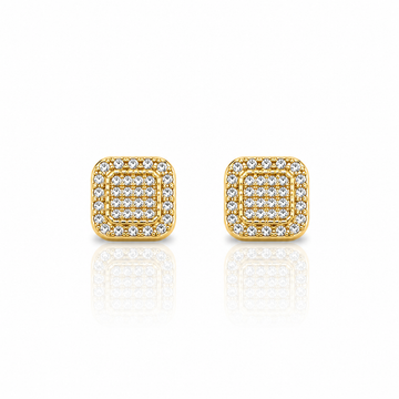 929764 | Silver Gold Earrings