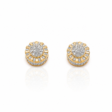 9219842 | Silver Gold Earrings