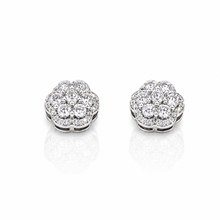 9219681 | Silver Rhodium Earrings