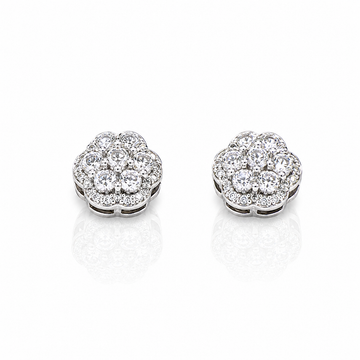 9219681 | Silver Rhodium Earrings