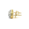 CRESSIDA 0.87 CTW 925 GOLD MOISSANITE ICED OUT EARRING | 997372