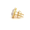 CAEL 0.73 CTW 925 GOLD MOISSANITE ICED OUT EARRING | 997412