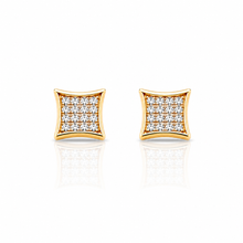 929742 | Silver Gold Earrings