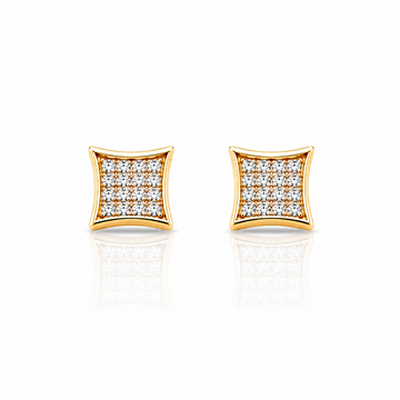929742 | Silver Gold Earrings