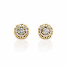 9219612 | Silver Gold Earrings