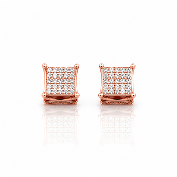 928255 | Silver Rose Gold Earrings