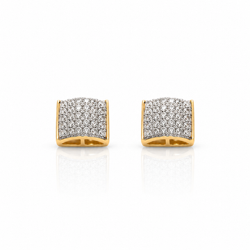 995022 | 925 Moissanite RP + GP Earrings