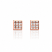 929755 | Silver Rose Gold Earrings