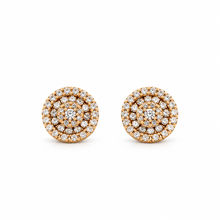 9223982 | 925 Silver Gold Earrings