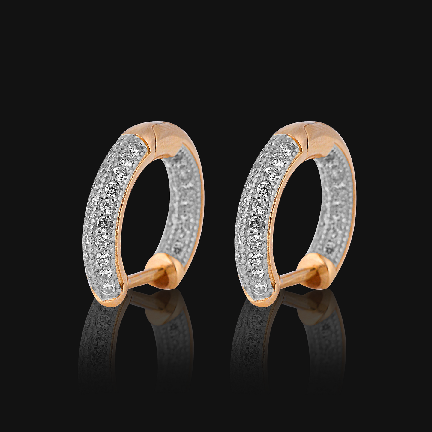 WINGED 925 EARRINGS | 9210471