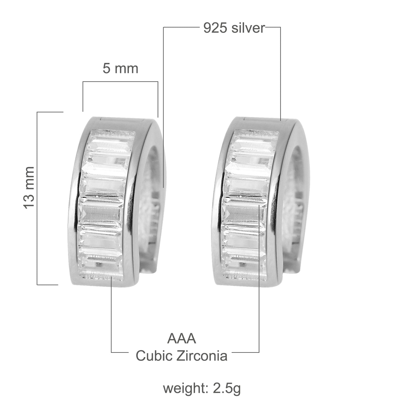ECCENTRICITY 925 EARRINGS | 9210661