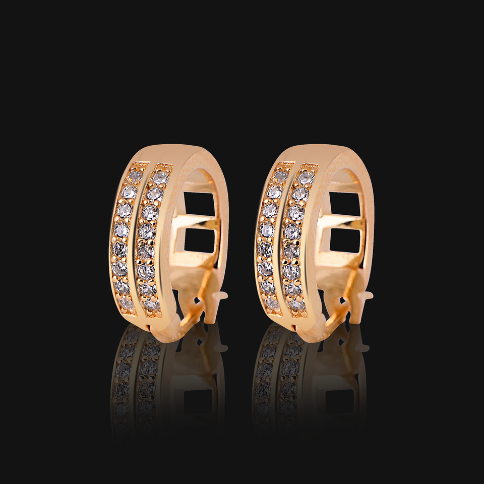 PARAGON 925 EARRINGS | 9210621