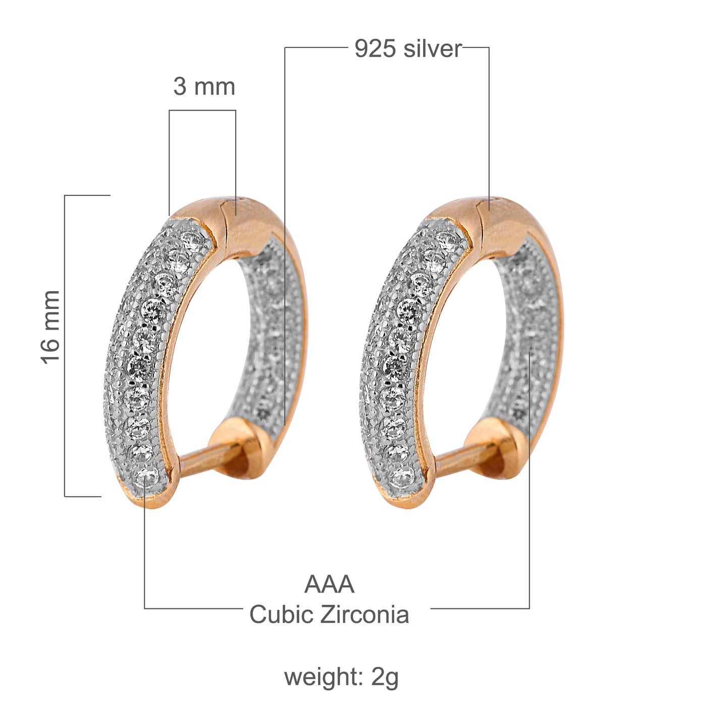 WINGED 925 EARRINGS | 9210471